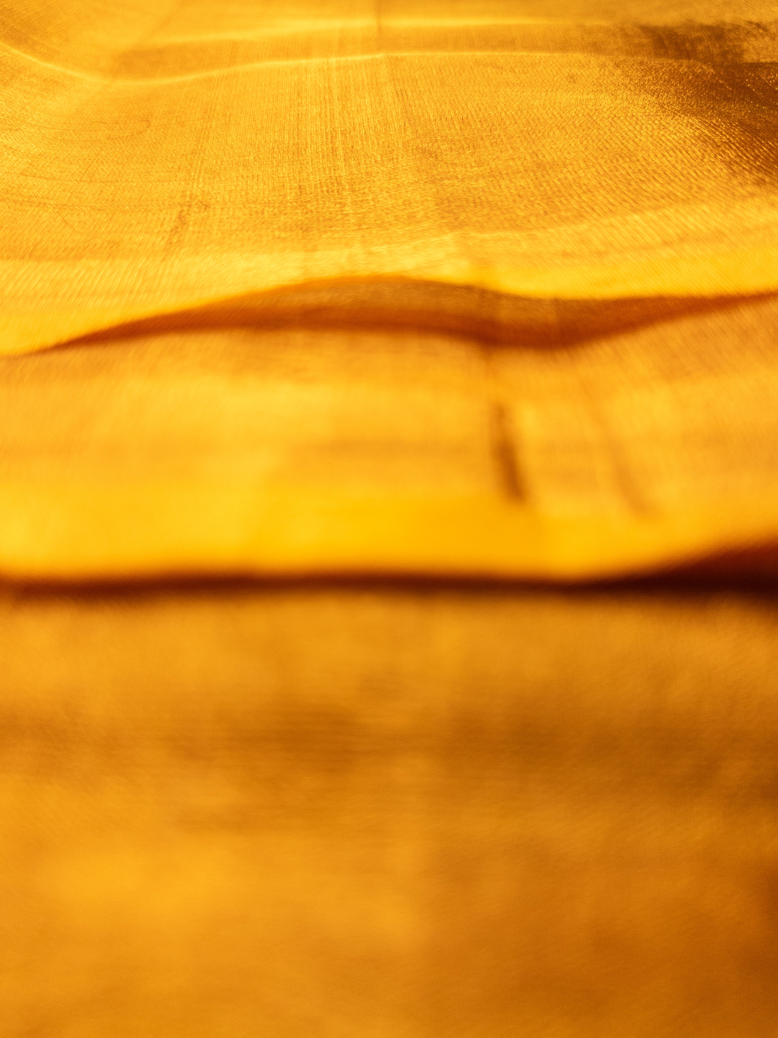 Gold Handloom Uppada Pattu Tissue Saree - Premium Silk